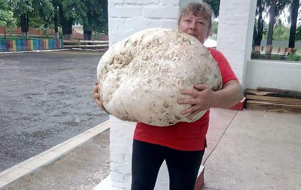 Под Киевом нашли гриб весом около 18 кг. Фото