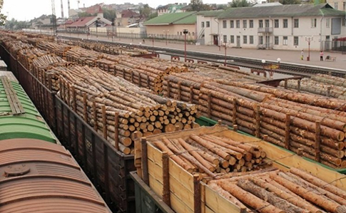 Україна експортує до ЄС незаконну деревину