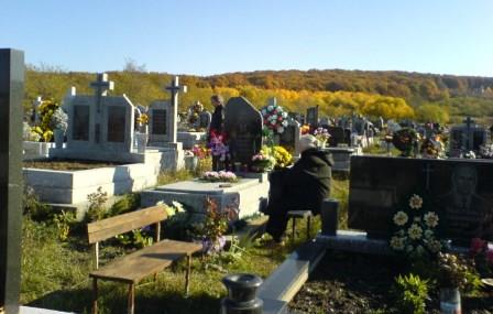 Украинские Маугли: На кладбище Ужгорода нашли мальчиков, которые не умеют разговаривать (ВИДЕО)