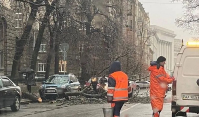 У Києві біля Офісу президента на автомобіль упало дерево. Фото