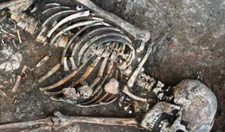В Україні археологи виявили рештки людини, яка жила 7 тисяч років тому