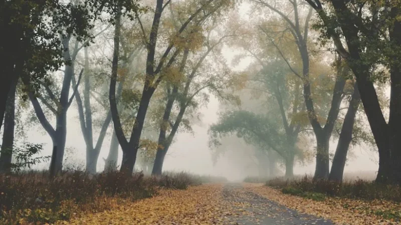 В Україну скоро увірветься похолодання: синоптикиня назвала дати