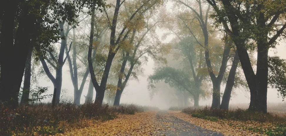 В Україну скоро увірветься похолодання: синоптикиня назвала дати