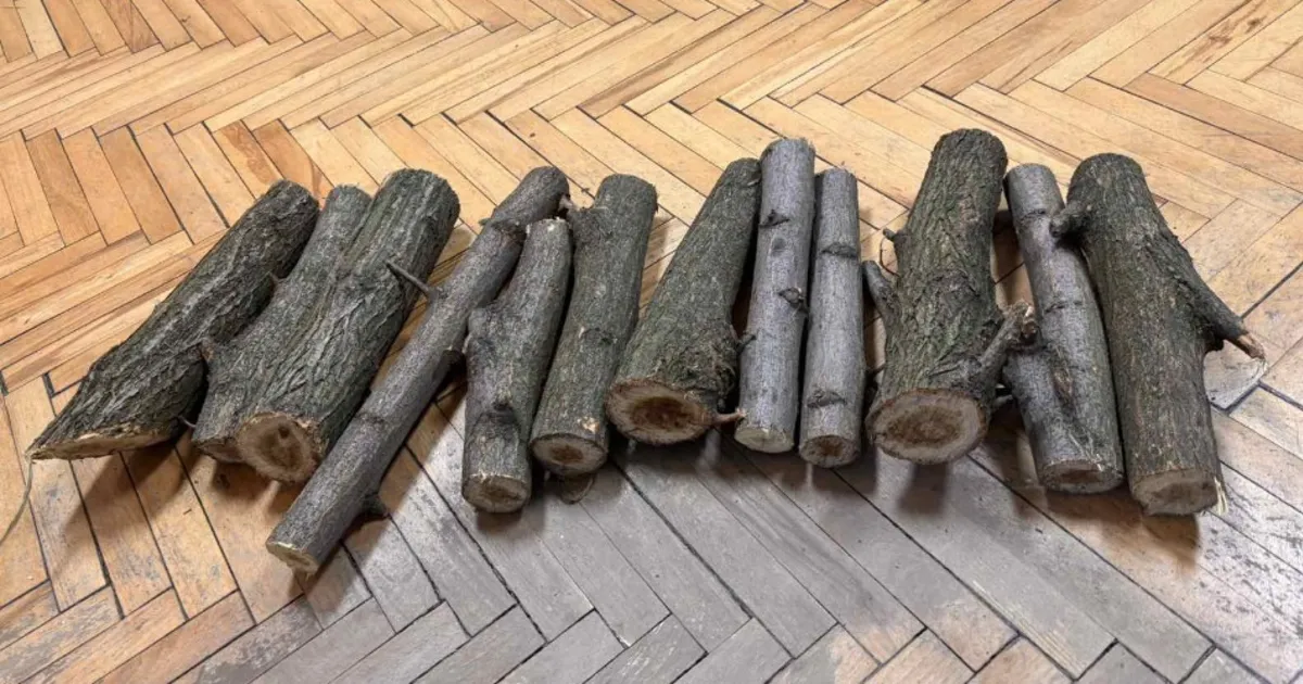 У Дніпрі виконавча служба конфіскувала у боржника та виставила на аукціон 12 брусків акації