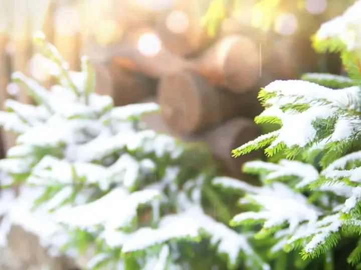До України йде довгоочікуване потепління, але радіти рано, — прогноз синоптикині