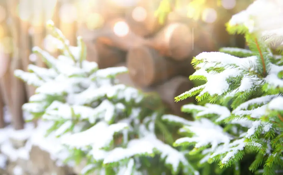 До України йде довгоочікуване потепління, але радіти рано, — прогноз синоптикині