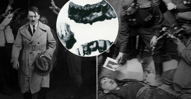 Погиб или сбежал? Ученые развеяли все мифы о смерти Гитлера