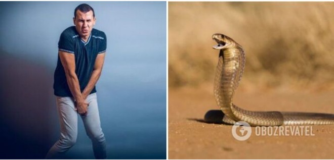 В Африці змія вкусила туриста за пеніс у туалеті: почалося гниття