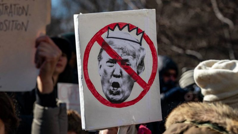 “Не мій президент”: США сколихнули протести проти Трампа, Маска та DOGE (фото)