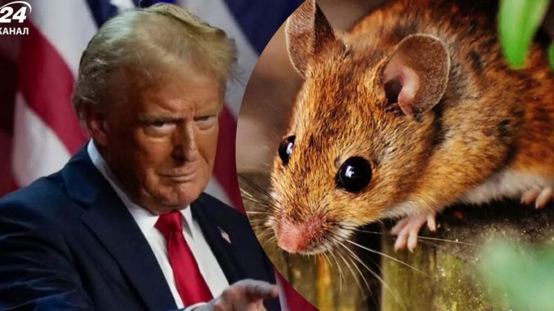 Трамп зганьбився заявою про Маска та трансгендерних мишей