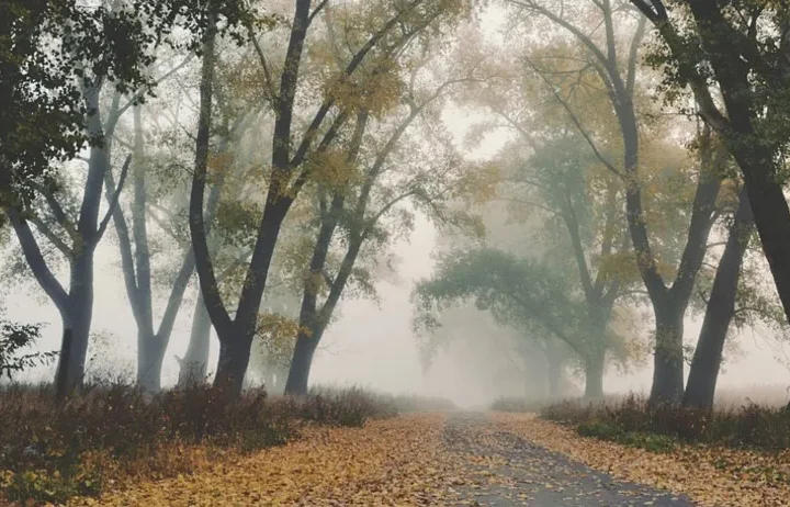 В Україну скоро увірветься похолодання: синоптикиня назвала дати