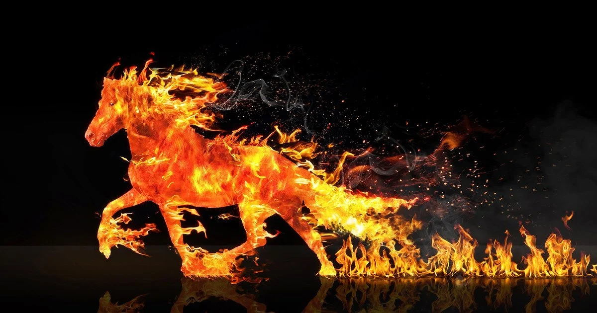 Тварина-покровитель 2026: дізнайтеся, хто символізує прийдешній рік і на що чекати кожному знаку зодіаку