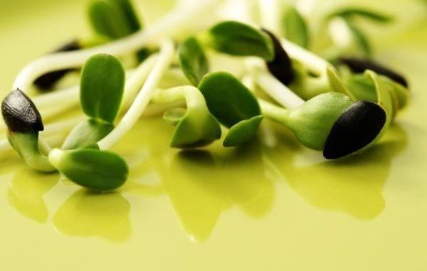 Неймовірний засіб, який не тільки лікує, а ще й повертає молодість!