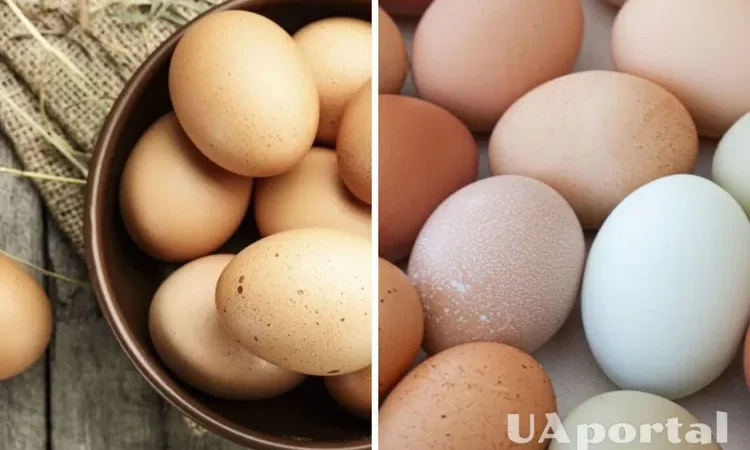 Перед Великоднем в Україні різко подорожчав популярний продукт: скільки коштує