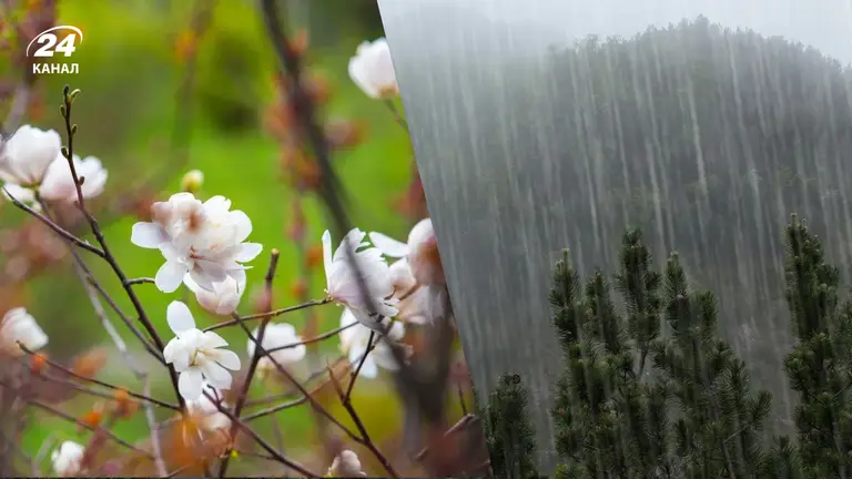 Україну накриє циклон: де литимуть дощі й коли чекати похолодання