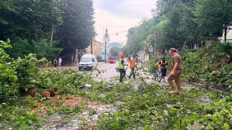 У Львові блискавка влучила у 6-річну дівчинку