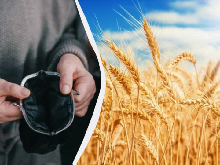 Чи загрожує Україні голод узимку: що насправді відбувається